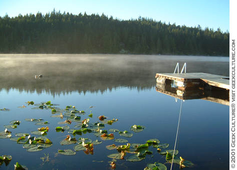 mist on the lake
