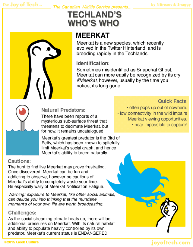 TechLand's Who's Who... Meerkat!